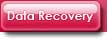 Data Recovery